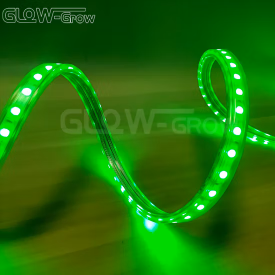 IP65 60LEDs/M SMD 5050 高電圧 220V LED ライト中国最高のテスト ストリップ工場