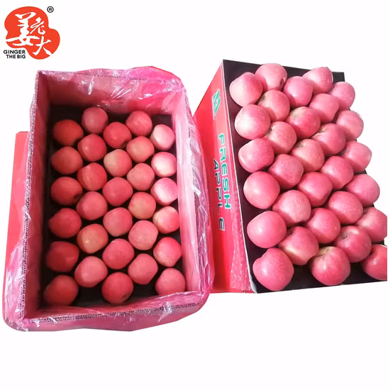 新しい LED ライト 16 色の​​イリュージョンアンビエントテーブルランプリモコン付き寝室ホリデークリエイティブギフトリモコンタッチ Apple ナイトライト