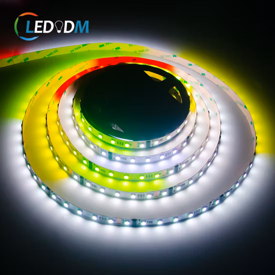 Striscia LED RGB 24V 2835 120Led/M 6mm 10W/M Striscia LED Dmx RGB indirizzabile Striscia LED マジカ
